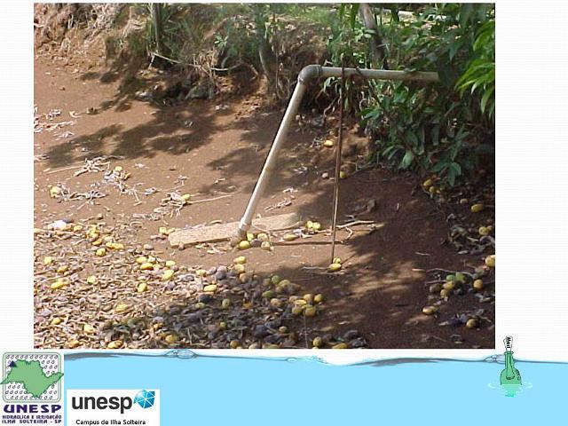 fernandopolis_25abr2012 (15).JPG